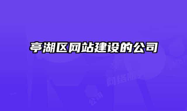 亭湖區(qū)網(wǎng)站建設(shè)的公司