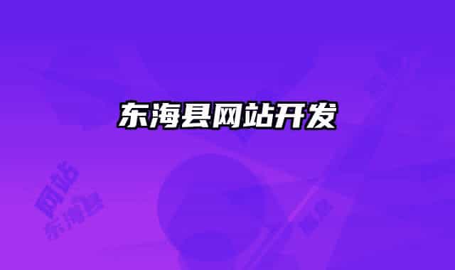 東海縣網(wǎng)站開發(fā)