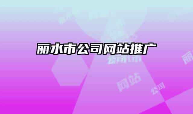 麗水市公司網(wǎng)站推廣
