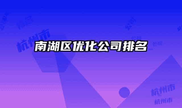 南湖區(qū)優(yōu)化公司排名