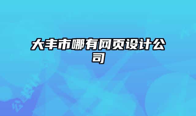 大豐市哪有網(wǎng)頁設(shè)計(jì)公司