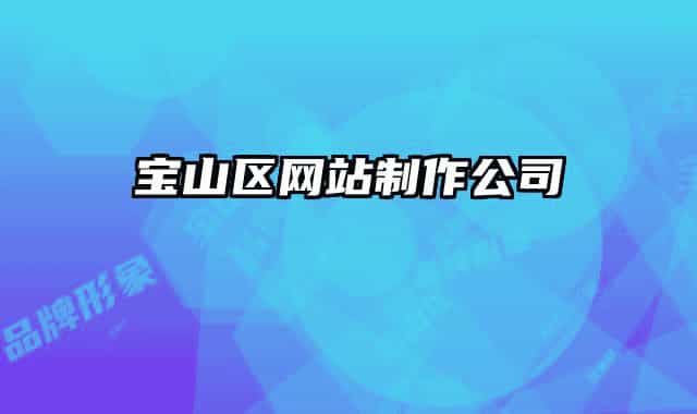 寶山區(qū)網(wǎng)站制作公司
