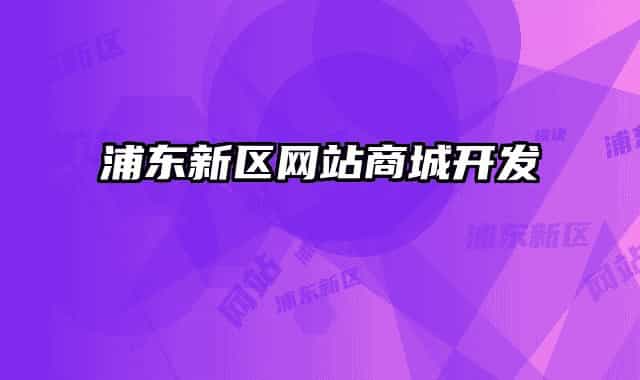 浦東新區(qū)網(wǎng)站商城開發(fā)