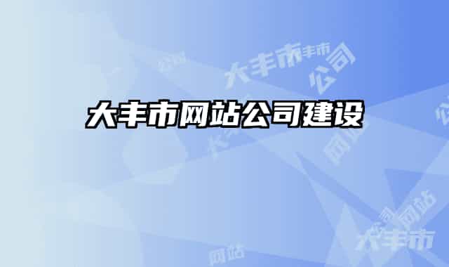 大豐市網站公司建設