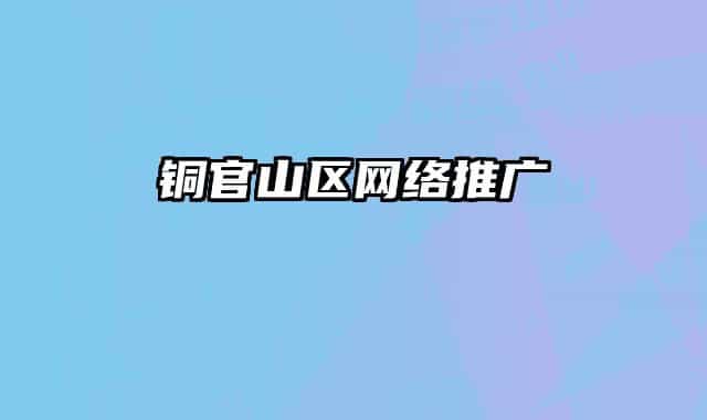 銅官山區(qū)網(wǎng)絡(luò)推廣