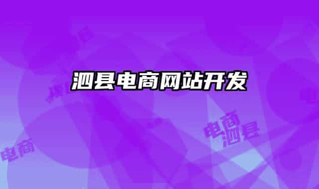 泗縣電商網(wǎng)站開發(fā)