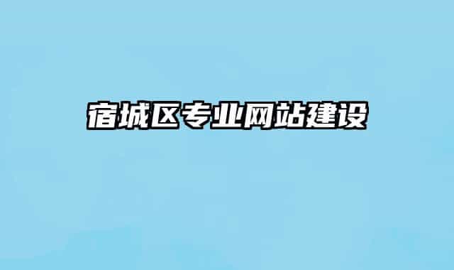 宿城區(qū)專業(yè)網(wǎng)站建設(shè)