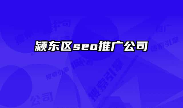 潁東區(qū)seo推廣公司