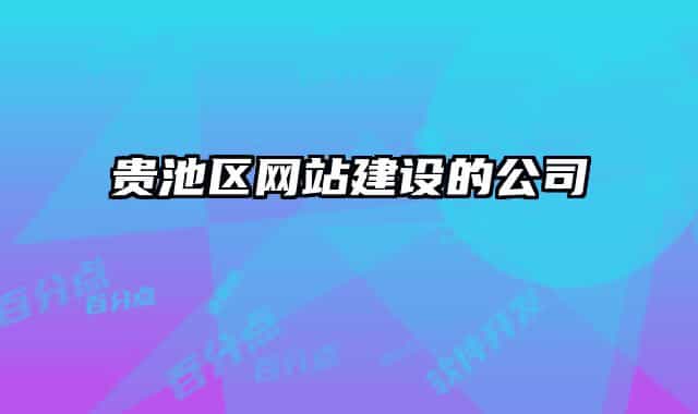 貴池區(qū)網(wǎng)站建設(shè)的公司