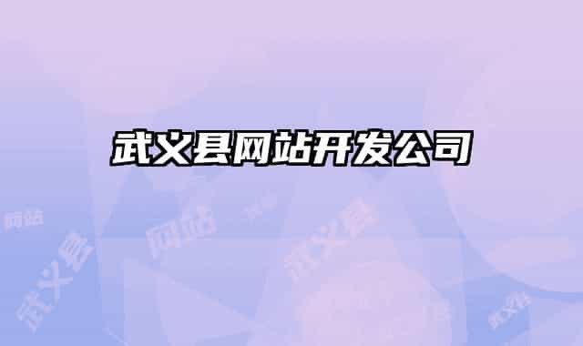 武義縣網(wǎng)站開發(fā)公司