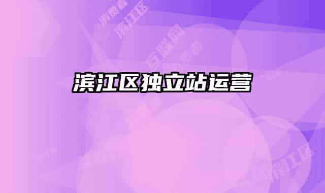 濱江區(qū)獨立站運營
