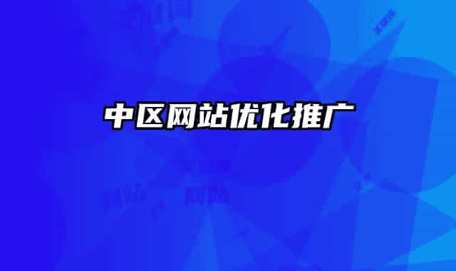 中區(qū)網(wǎng)站優(yōu)化推廣