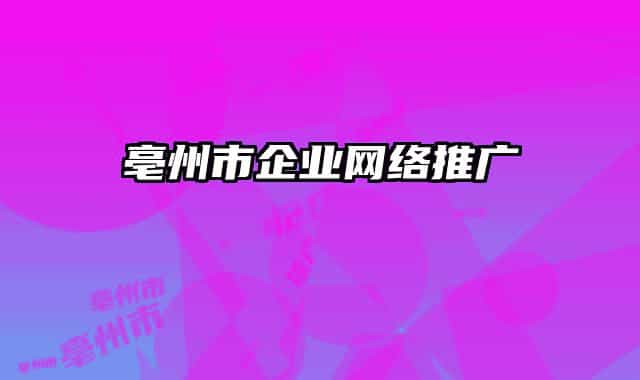亳州市企業(yè)網(wǎng)絡(luò)推廣