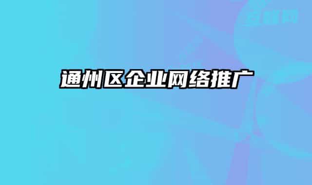 通州區(qū)企業(yè)網(wǎng)絡(luò)推廣