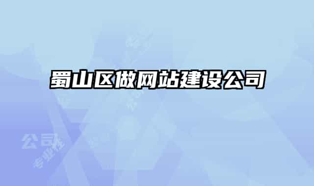 蜀山區(qū)做網(wǎng)站建設(shè)公司