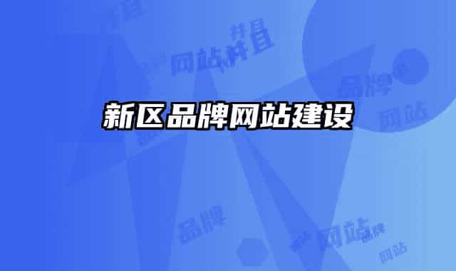 新區(qū)品牌網(wǎng)站建設(shè)