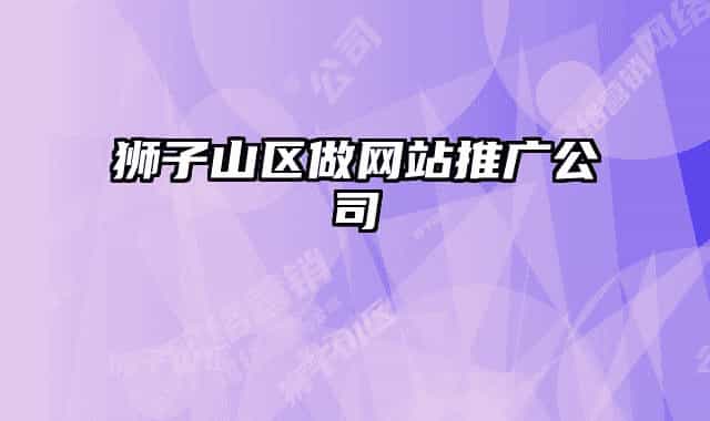 獅子山區(qū)做網(wǎng)站推廣公司