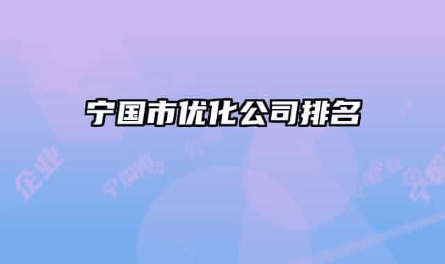 寧國市優(yōu)化公司排名