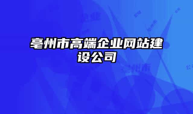 亳州市高端企業(yè)網(wǎng)站建設(shè)公司