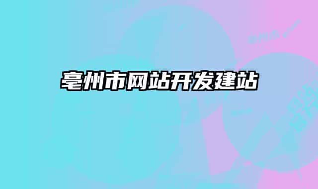 亳州市網(wǎng)站開發(fā)建站
