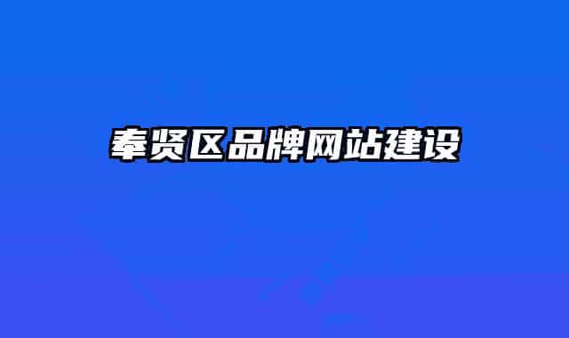 奉賢區(qū)品牌網(wǎng)站建設(shè)