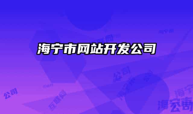 海寧市網(wǎng)站開發(fā)公司