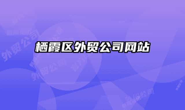 棲霞區(qū)外貿(mào)公司網(wǎng)站