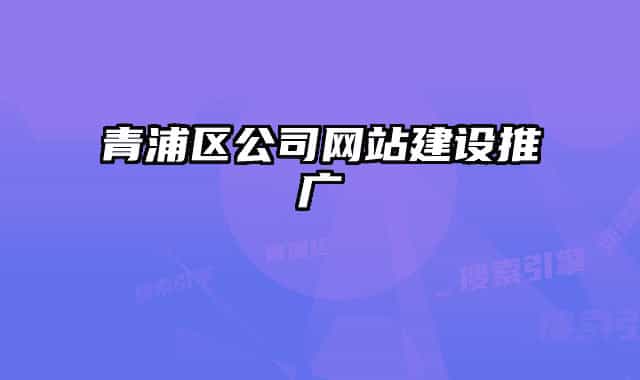 青浦區(qū)公司網(wǎng)站建設(shè)推廣