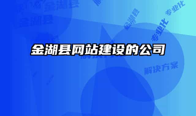 金湖縣網(wǎng)站建設(shè)的公司