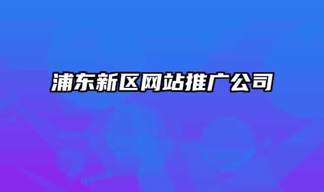 浦東新區(qū)網(wǎng)站推廣公司