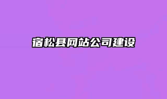 宿松縣網(wǎng)站公司建設(shè)
