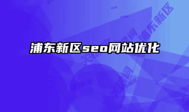 浦東新區(qū)seo網(wǎng)站優(yōu)化