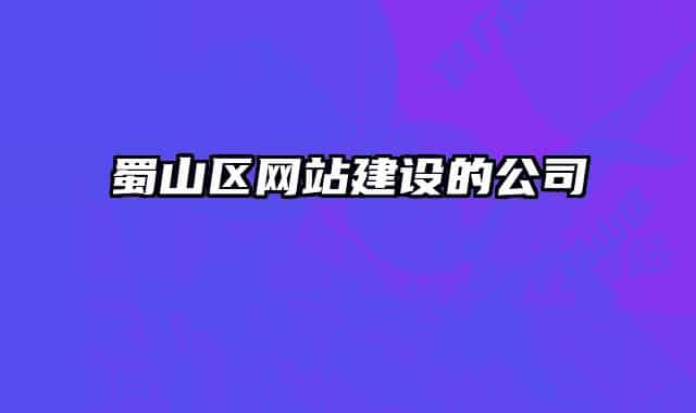 蜀山區(qū)網(wǎng)站建設(shè)的公司