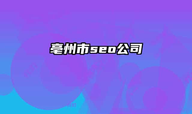 亳州市seo公司