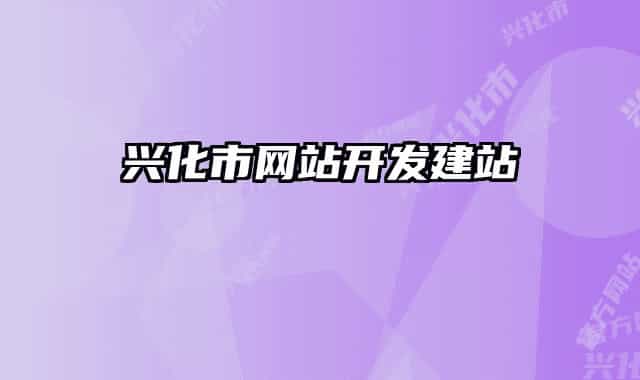 興化市網(wǎng)站開發(fā)建站