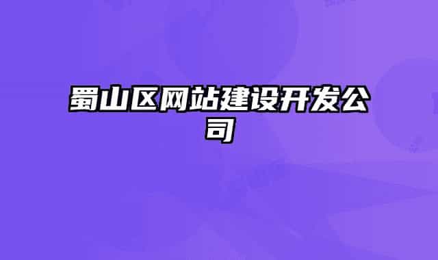 蜀山區(qū)網(wǎng)站建設開發(fā)公司