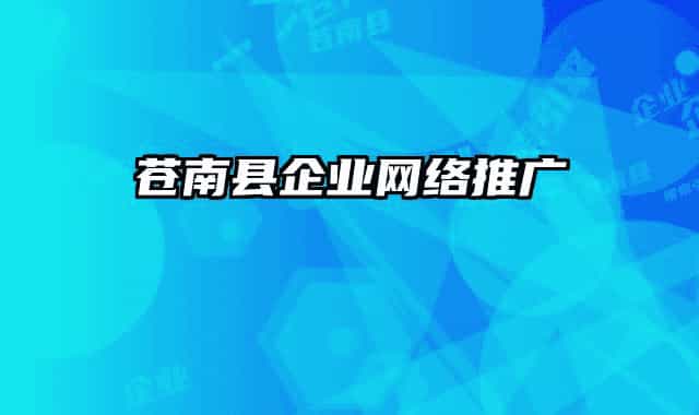蒼南縣企業(yè)網(wǎng)絡(luò)推廣