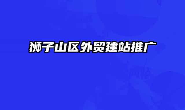獅子山區(qū)外貿(mào)建站推廣