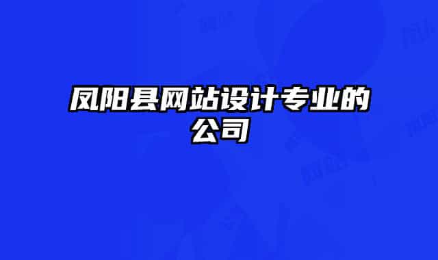 鳳陽(yáng)縣網(wǎng)站設(shè)計(jì)專業(yè)的公司