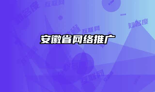 安徽省網(wǎng)絡(luò)推廣