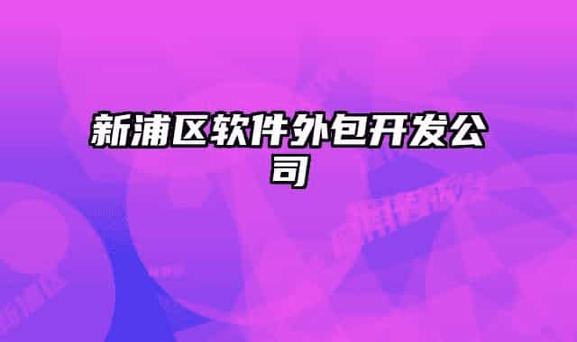 新浦區(qū)軟件外包開發(fā)公司