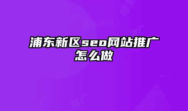 浦東新區(qū)seo網(wǎng)站推廣怎么做