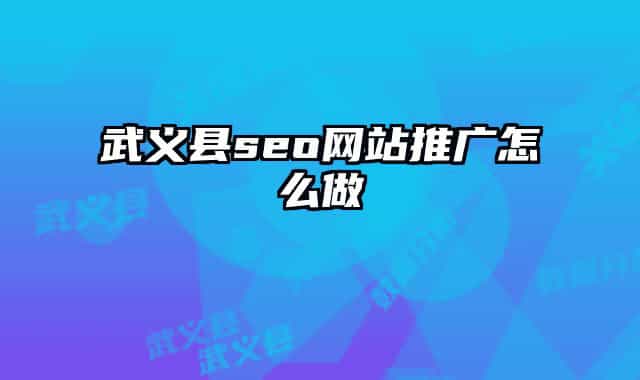武義縣seo網(wǎng)站推廣怎么做