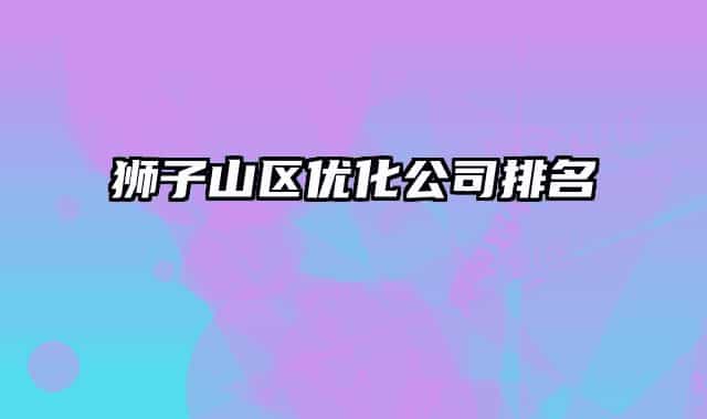 獅子山區(qū)優(yōu)化公司排名
