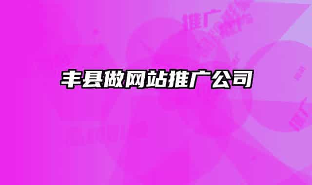 豐縣做網(wǎng)站推廣公司