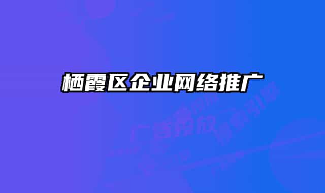 棲霞區(qū)企業(yè)網(wǎng)絡推廣