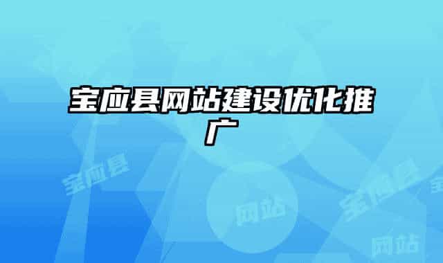 寶應(yīng)縣網(wǎng)站建設(shè)優(yōu)化推廣