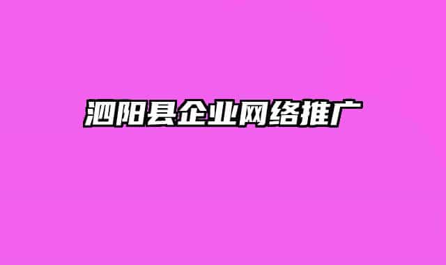 泗陽縣企業(yè)網(wǎng)絡(luò)推廣