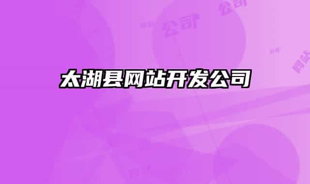 太湖縣網(wǎng)站開(kāi)發(fā)公司