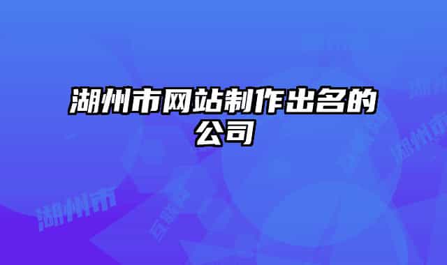 湖州市網站制作出名的公司